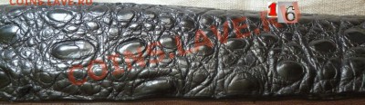 Изделия из кожи крокодила ! - P1050827.JPG