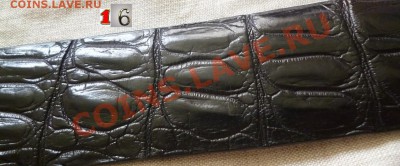 Изделия из кожи крокодила ! - P1050830.JPG