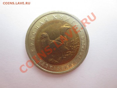 50 рублей.Красная книга. Кавказский тетерев. - IMG_0999.JPG