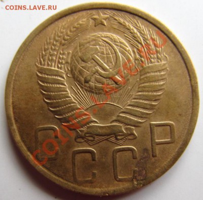 пяьаки 28.36,39,41,50. Кучкой ? - IMG_1178.JPG