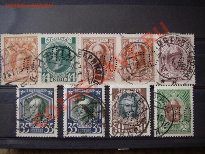 ПЕРФИНЫ(инфо тема) - IMGP8660.JPG