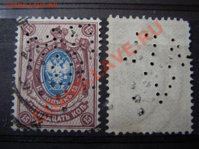 ПЕРФИНЫ(инфо тема) - IMGP8673.JPG