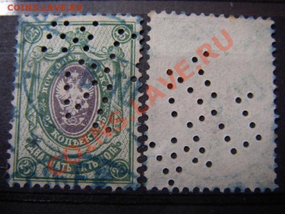 ПЕРФИНЫ(инфо тема) - IMGP8674.JPG
