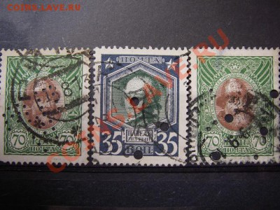 ПЕРФИНЫ(инфо тема) - IMGP8677.JPG