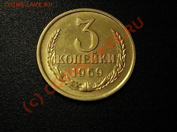 10 - SDC12031.JPG