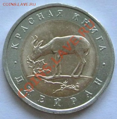 КК 50 рублей 1994. Джейран, до 27.10,22-00 - Джейран.JPG