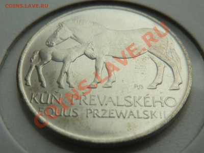Ag, ЧССР 50 крон 1987, Две Лошади до 29.10.13 22.00 мск - P1130575.JPG