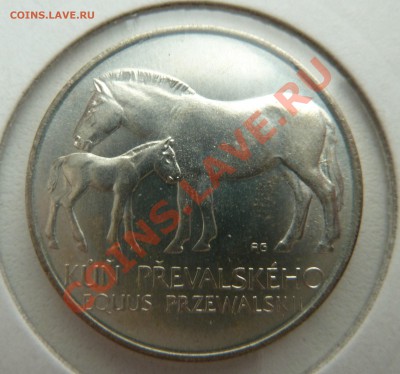 Ag, ЧССР 50 крон 1987, Две Лошади до 29.10.13 22.00 мск - P1130574.JPG