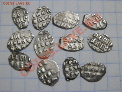 ПетрI, 21 чешуйка - до 22:30 1 октября - PA253774.JPG