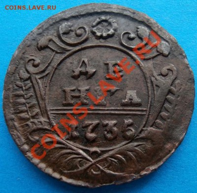 10 - 1735_denga_r.JPG