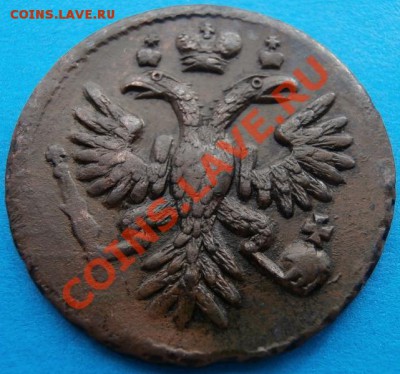10 - 1735_denga.JPG