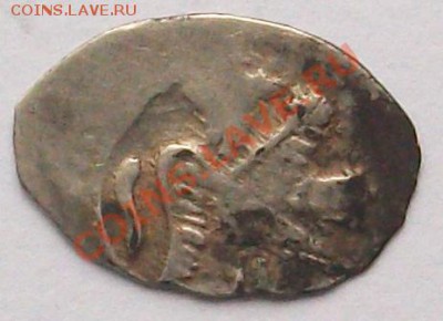 Много интересной чешуи. Предпродажная оценка ЧАСТЬ №2 - IMGP2797.JPG