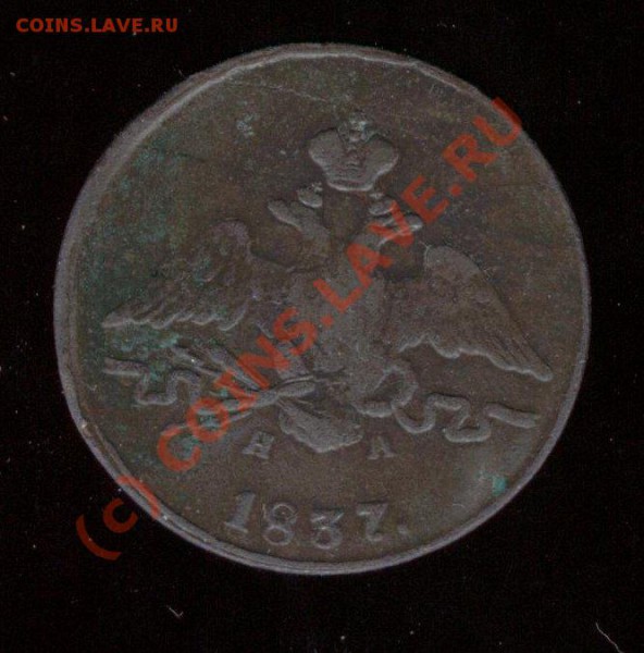 Помогите с 1коп. 1837г. - 1 коп. 1837г.JPG