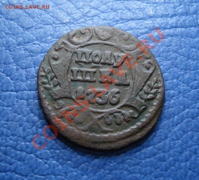 полушка  1736г - Полушки 1736_1