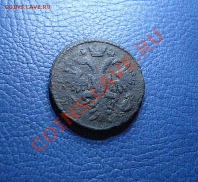 денга               1731г - Денга 1731_2