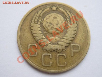 Помогите определить разновидность. - IMG_4764.JPG
