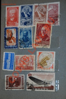 оцените пожалуйста весь альбом - DSC_6710.JPG