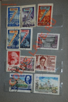оцените пожалуйста весь альбом - DSC_6719.JPG