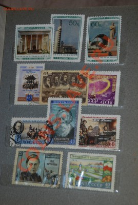 оцените пожалуйста весь альбом - DSC_6725.JPG