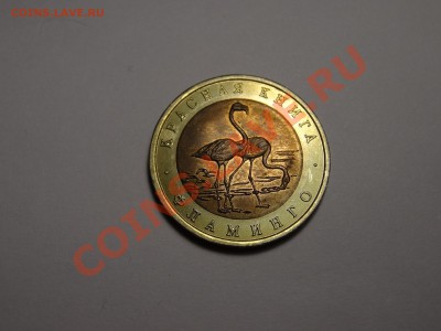 50р КК Фламинго 1994г Gem до 31.10.13 23:00 МСК - DSC01723.JPG