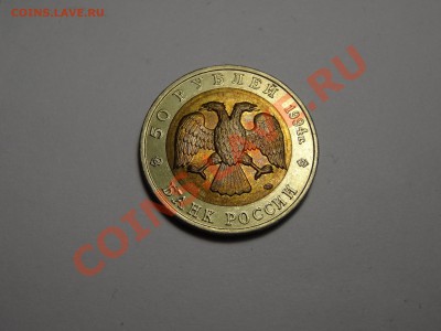 50р КК Зубр 1994г Gem до 31.10.13 23:00 МСК - DSC01726.JPG