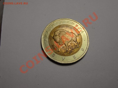 50р КК Зубр 1994г Gem до 31.10.13 23:00 МСК - DSC01725.JPG