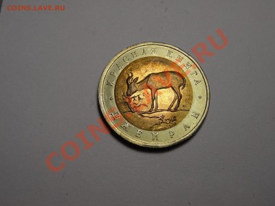 50р КК Джейран 1994г Gem до 31.10.13 23:00 МСК - DSC01727.JPG