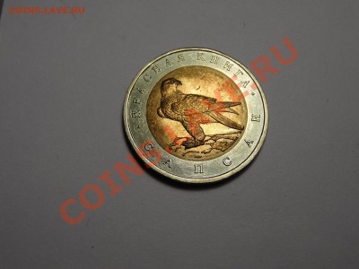 50р КК Сапсан 1994г Gem до 31.10.13 23:00 МСК - DSC01729.JPG