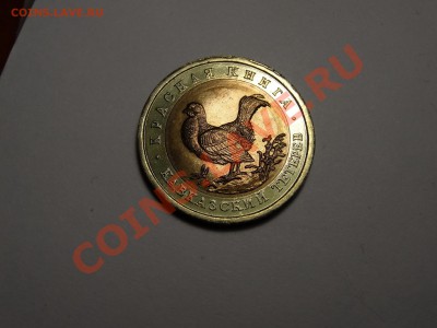 50р КК Тетерев 1993г Gem до 31.10.13 23:00 МСК - DSC01733.JPG