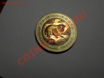 50р КК Слепыш 1994г Gem до 31.10.13 23:00 МСК - DSC01735.JPG