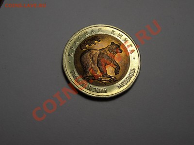 50р КК Медведь 1993г Gem до 31.10.13 23:00 МСК - DSC01739.JPG