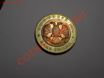 50р КК Афалина 1993г Gem до 31.10.13 23:00 МСК - DSC01744.JPG