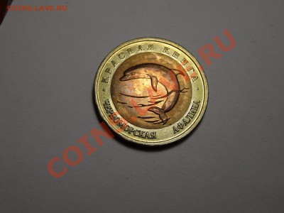 50р КК Афалина 1993г Gem до 31.10.13 23:00 МСК - DSC01743.JPG