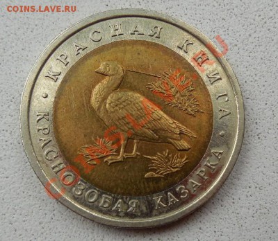 10 рублей 1992.  Краснозобая казарка До 02.11.13 22:00 МСК - DSCN0060.JPG
