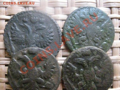 Полушки, 4 шт. 1731 (пер), 1734, 1735 и 1736г. До 3.11.13г. - 3.11 040.JPG