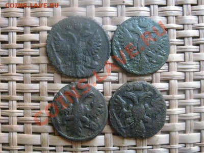 Полушки, 4 шт. 1731 (пер), 1734, 1735 и 1736г. До 3.11.13г. - 3.11 038.JPG