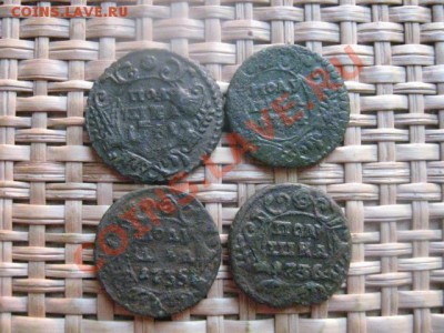 Полушки, 4 шт. 1731 (пер), 1734, 1735 и 1736г. До 3.11.13г. - 3.11 032.JPG