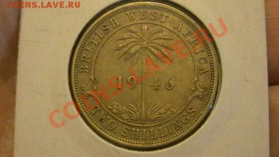 Брит Запад Африка 2 шилл 1946 до 02.11. по МСК 22-00 - IMGA0178.JPG