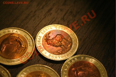 Красная книга 91-93г (10 монет) до 2.11.13 в 23.30 - 016 [].JPG
