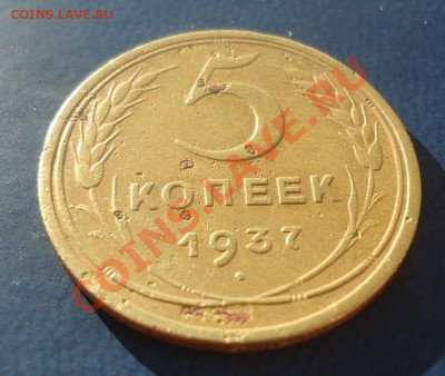 Не плохие 5к-1937г до 2.11.13г до 22-00 по МСК - DSC06557_cr