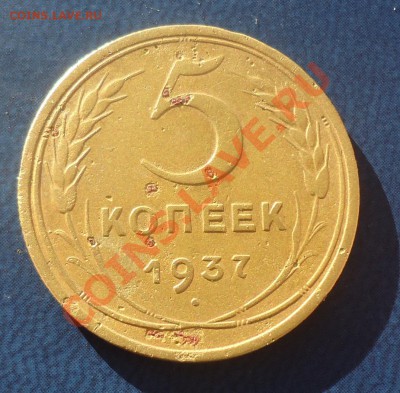 Не плохие 5к-1937г до 2.11.13г до 22-00 по МСК - DSC06556_cr