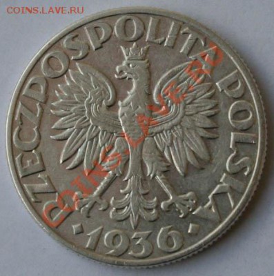 Польша, 5 злотых 1936. Подлинность и оценка. - IMG_1658.JPG