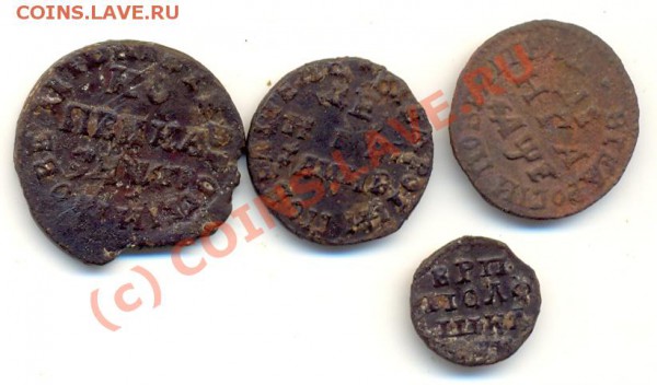 1 коп 1713, денга 1705, 1712, полушка ВРП ===== до 24.01 - lave_c0025