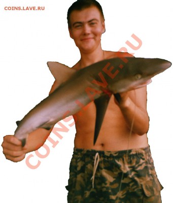 Рыба моей мечты. - Shark_01