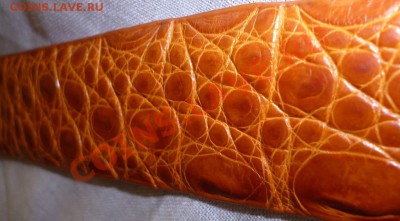 Изделия из кожи крокодила ! - P1040586.JPG
