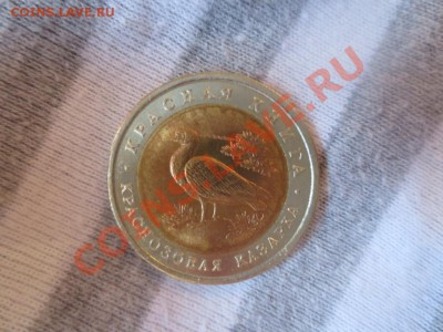 10 рублей. Красная книга. Краснозобая казарка. - IMG_1063.JPG