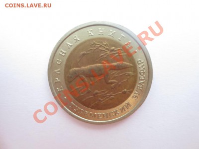 50 рублей.Красная книга. Туркменский зублефар. - IMG_1012.JPG