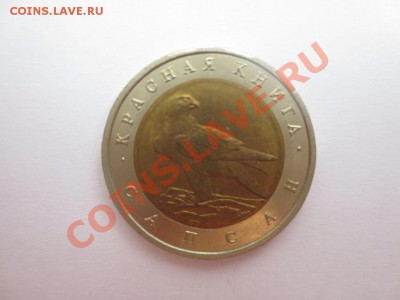 50 рублей. Красная книга. Сапсан. - IMG_1007.JPG