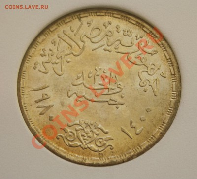 В СЛАБЕ MS-67 ЕГИПЕТ 1 фунт 1980г. МИР с ИЗРАИЛЕМ до 8.11.13 - IMG_8910.JPG