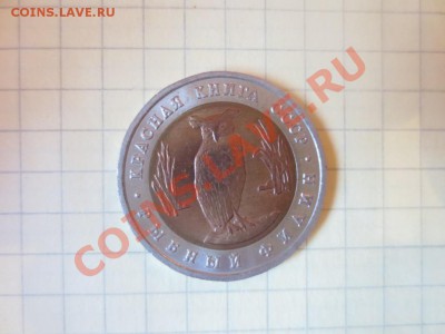 5 рублей. Красная книга. Рыбный филин.. - IMG_1085.JPG